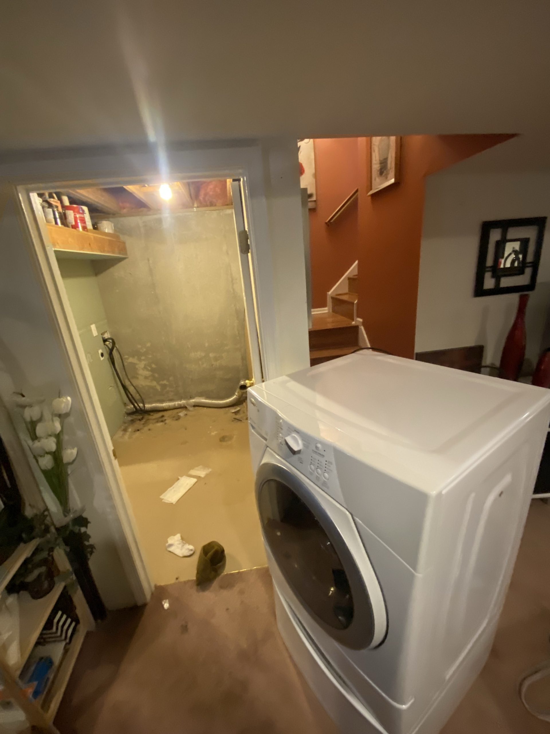 Gallery Junk 2 20 1780518511 Jpg